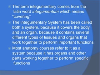 ⦿ The term integumentary comes from the
latin word integumentum which means
“covering”
⦿ The integumentary System has been called
both a system, because it covers the body,
and an organ, because it contains several
different types of tissues and organs that
work together to perform important functions
⦿ Most anatomy courses refer to it as a
system because it has organs and other
parts working together to perform specific
functions
 