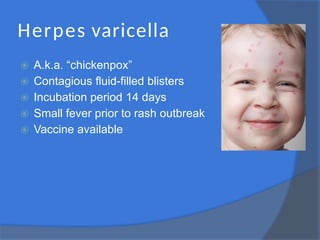 Herpes varicella
⦿ A.k.a. “chickenpox”
⦿ Contagious fluid-filled blisters
⦿ Incubation period 14 days
⦿ Small fever prior to rash outbreak
⦿ Vaccine available
 