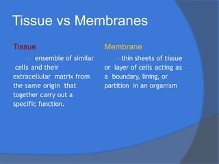 Tissue vs Membranes
Tissue
— ensemble of similar
cells and their
extracellular matrix from
the same origin that
together carry out a
specific function.
Membrane
—thin sheets of tissue
or layer of cells acting as
a boundary, lining, or
partition in an organism
 