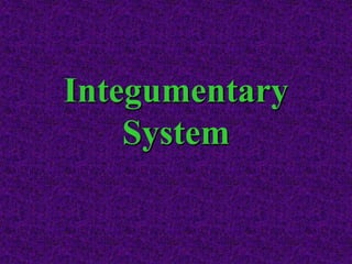 Integumentary
System
 