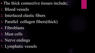  The thick connective tissues include;
1. Blood vessels
2. Interlaced elastic fibers
3. Parallel collagen fibers(thick)
4. Fibroblasts
5. Mast cells
6. Nerve endings
7. Lymphatic vessels
 
