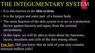 THE INTEGUMENTARY SYSTEM
 It is also known as the skin system.
 It is the largest and outer part of a human body.
 The main function of the skin system is to act as a protection
device against bacteria and injury from the external
environment.
 In this topic, we will be able to learn about the functions,
layers, structures and cells of the skin among others.
Fun fact: Did you know that an inch of your skin contains
nineteen million cells?
 