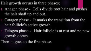 Hair growth occurs in three phases;
1. Anagen phase - Cells divide root hair and pushes
the hair shaft up and out.
2. Catagen phase - It marks the transition from the
hair follicle’s active growth.
3. Telogen phase - Hair follicle is at rest and no new
growth occurs.
Then it goes to the first phase.
 