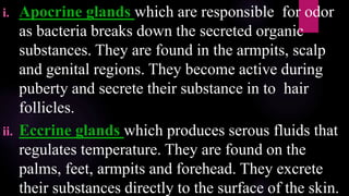i. Apocrine glands which are responsible for odor
as bacteria breaks down the secreted organic
substances. They are found in the armpits, scalp
and genital regions. They become active during
puberty and secrete their substance in to hair
follicles.
ii. Eccrine glands which produces serous fluids that
regulates temperature. They are found on the
palms, feet, armpits and forehead. They excrete
their substances directly to the surface of the skin.
 