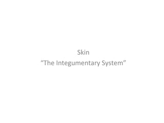Skin 
“The Integumentary System” 
 