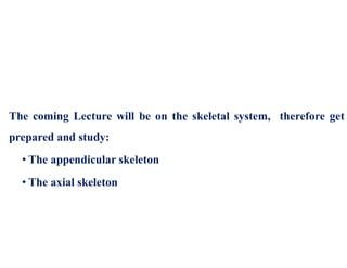 The coming Lecture will be on the skeletal system, therefore get
prepared and study:
• The appendicular skeleton
• The axial skeleton
 