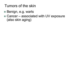 Tumors of the skin
 Benign, e.g. warts
 Cancer – associated with UV exposure
(also skin aging)
 