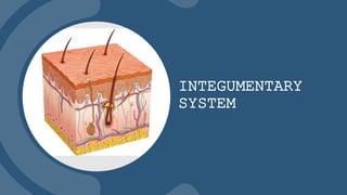 INTEGUMENTARY
SYSTEM
 