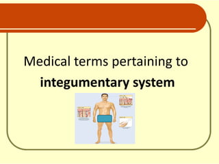 Medical terms pertaining to
integumentary system
 