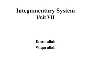 Integumentary System
Unit VII
Ikramullah
Wiqarullah
 