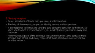5. Sensory receptors
- Detect sensations of touch, pain, pressure, and temperature.
- The help of the receptor, people can identify texture, and temperature.
- It also responds to stimuli and send the data about the sensation to the brain. Ex:
when you touched a very hot objects, you suddenly move your hands away from
that object.
- However, not all parts of the skin have the same sensitivity. Some parts are more
sensitive than others, and it only means that those parts have more nerves that
sensitive to touch.
 