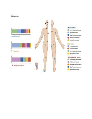 Skin flora:
 