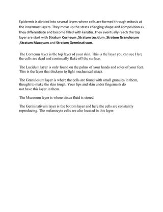 Epidermis is divided into several layers where cells are formed through mitosis at
the innermost layers. They move up the strata changing shape and composition as
they differentiate and become filled with keratin. They eventually reach the top
layer are start with Stratum Corneum ,Stratum Lucidum ,Stratum Granulosum
,Stratum Mucosum and Stratum Germinativum.
The Corneum layer is the top layer of your skin. This is the layer you can see Here
the cells are dead and continually flake off the surface.
The Lucidum layer is only found on the palms of your hands and soles of your feet.
This is the layer that thickens to fight mechanical attack
The Granulosum layer is where the cells are found with small granules in them,
thought to make the skin tough. Your lips and skin under fingernails do
not have this layer in them.
The Mucosum layer is where tissue fluid is stored
The Germinativum layer is the bottom layer and here the cells are constantly
reproducing. The melanocyte cells are also located in this layer.
 