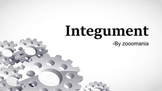 Integument
-By zooomania
 