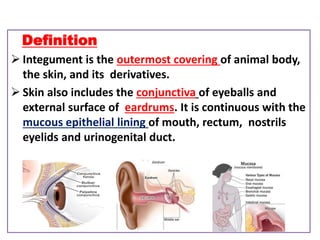 Integument Def INTEGUMENTRY.pptx