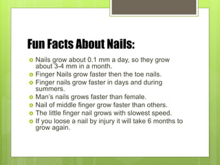 Fun Facts About Nails:
 Nails grow about 0.1 mm a day, so they grow
about 3-4 mm in a month.
 Finger Nails grow faster then the toe nails.
 Finger nails grow faster in days and during
summers.
 Man’s nails grows faster than female.
 Nail of middle finger grow faster than others.
 The little finger nail grows with slowest speed.
 If you loose a nail by injury it will take 6 months to
grow again.
 