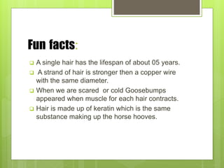 Fun facts:
 A single hair has the lifespan of about 05 years.
 A strand of hair is stronger then a copper wire
with the same diameter.
 When we are scared or cold Goosebumps
appeared when muscle for each hair contracts.
 Hair is made up of keratin which is the same
substance making up the horse hooves.
 