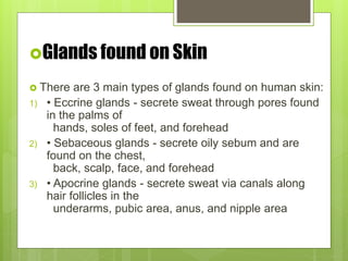 Glands found on Skin
 There are 3 main types of glands found on human skin:
1) • Eccrine glands - secrete sweat through pores found
in the palms of
hands, soles of feet, and forehead
2) • Sebaceous glands - secrete oily sebum and are
found on the chest,
back, scalp, face, and forehead
3) • Apocrine glands - secrete sweat via canals along
hair follicles in the
underarms, pubic area, anus, and nipple area
 