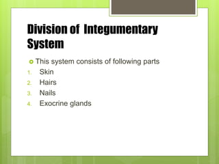 Division of Integumentary
System
 This system consists of following parts
1. Skin
2. Hairs
3. Nails
4. Exocrine glands
 