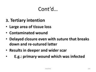 Cont’d… 
3. Tertiary intention 
• Large area of tissue loss 
• Contaminated wound 
• Delayed closure even with suture that breaks 
down and re-sutured latter 
• Results in deeper and wider scar 
• E.g.: primary wound which was infected 
HA(MSN) 200 
 