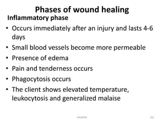 Phases of wound healing 
Inflammatory phase 
• Occurs immediately after an injury and lasts 4-6 
days 
• Small blood vessels become more permeable 
• Presence of edema 
• Pain and tenderness occurs 
• Phagocytosis occurs 
• The client shows elevated temperature, 
leukocytosis and generalized malaise 
HA(MSN) 201 
 
