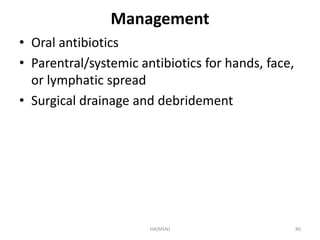 Management 
• Oral antibiotics 
• Parentral/systemic antibiotics for hands, face, 
or lymphatic spread 
• Surgical drainage and debridement 
HA(MSN) 80 
 