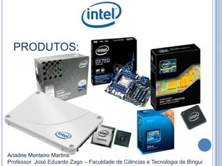 PRODUTOS:
Ariadne Monteiro Martins
Professor José Eduardo Zago – Faculdade de Ciências e Tecnologia de Birigui
 