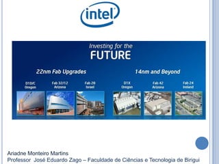 Ariadne Monteiro Martins
Professor José Eduardo Zago – Faculdade de Ciências e Tecnologia de Birigui
 