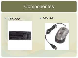 Componentes Teclado Mouse 