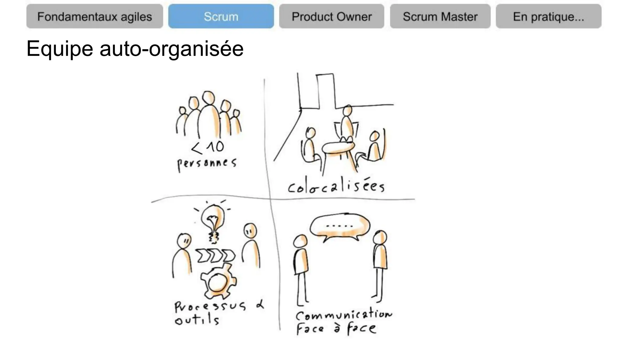 Equipe auto-organisée
 