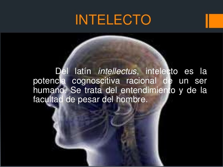Imagen relacionada