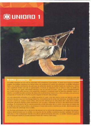 La ardilla voladora es uno de los animales más misteriosos que existen. A pesar de lo que su nombre
sugiere , las ardillas voladoras no tienen alas y en realidad no vuelan sino planean. La ardilla voladora
tiene una amplia membrana de piel que se extiende desde los tobillos hasta las muñecas y forma
una superficie similar a la de un paracaídas. Cuando se desplaza de un árbol a otro, la ardilla se
tira y alcanza una gran velocidad mientras cae en picada al suelo. Luego, abre completamente
sus cuatro patas para formar una superficie voladora cuadrada que le permite planear hasta su
destino. La ardilla puede cambiar de dirección inclinándose hacia uno u otro costado, y levantando
o bajando el hueso de su muñeca para regular la tensión del patagio.
La cola aplanada estabiliza a la ardilla durante el vuelo, casi del mismo modo en que la cola del
cometa ayuda a que se mantenga derecho. Inmediatamente antes del aterrizaje, la ardilla levanta
la cola y echa su cuerpo hacia atrás, esta acción disminuye la velocidad del vuelo de la ardilla,
dándole suficiente tiempo para maniobrar con sus pies y aferrarse al tronco del árbol hacia donde
se dirige. El movimiento de la cola es parecido al del elevador de un avión, hace que el cuerpo de
la ardilla se incline hacia arriba y se produzca mayor elevación y resistencia al aire , disminuyendo así
la velocidad de aterrizaje de la ardilla.
Los factores principales de la distancia de planeo son la altura del despegue y el ángulo de planeo,
ambos determinados por la ardilla. La mayoría de las ardillas voladoras pueden planear 50 metros
(165 pies) o más si despegan desde una altura suficientemente elevada. La ardilla voladora gigante
de los bosques asiáticos puede planear hasta 457 metros (1500pies).
 