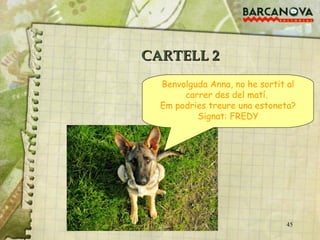 CARTELL 2 Benvolguda Anna, no he sortit al carrer des del matí.  Em podries treure una estoneta? Signat: FREDY 