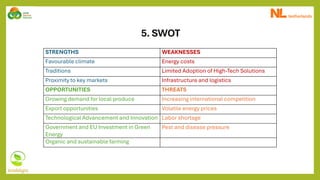 5. SWOT
STRENGTHS WEAKNESSES
Favourable climate Energy costs
Traditions Limited Adoption of High-Tech Solutions
Proximity to key markets Infrastructure and logistics
OPPORTUNITIES THREATS
Growing demand for local produce Increasing international competition
Export opportunities Volatile energy prices
Technological Advancement and Innovation Labor shortage
Government and EU Investment in Green
Energy
Pest and disease pressure
Organic and sustainable farming
 