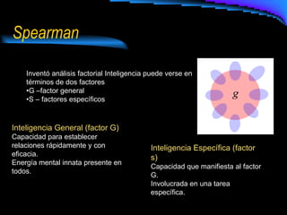 Spearman  Inventó análisis factorial Inteligencia puede verse en términos de dos factores • G –factor general • S – factores específicos Inteligencia General (factor G) Capacidad para establecer relaciones rápidamente y con eficacia. Energía mental innata presente en todos. Inteligencia Específica (factor s) Capacidad que manifiesta al factor G. Involucrada en una tarea específica. 