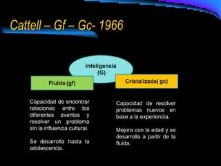 Cattell – Gf – Gc- 1966 Capacidad de encontrar relaciones entre los diferentes eventos y resolver un problema sin la influencia cultural. Se desarrolla hasta la adolescencia. Capacidad de resolver problemas nuevos en base a la experiencia. Mejora con la edad y se desarrolla a partir de la fluida. 