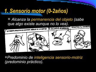 1. Sensorio motor (0-2años) Alcanza la  permanencia del objeto  (sabe que algo existe aunque no lo vea). Predominio de  inteligencia sensorio-motriz  (predominio práctico). 