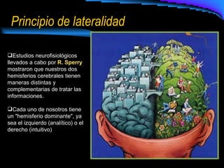 Principio de lateralidad  Estudios neurofisiológicos llevados a cabo por  R. Sperry  mostraron que nuestros dos hemisferios cerebrales tienen maneras distintas y complementarias de tratar las informaciones. Cada uno de nosotros tiene un "hemisferio dominante", ya sea el izquierdo (analítico) o el derecho (intuitivo) 