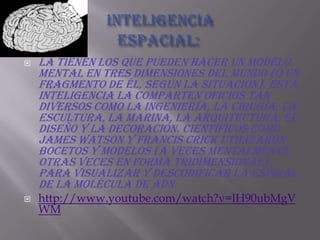 Inteligencia espacial: La tienen los que pueden hacer un modelo mental en tres dimensiones del mundo (o un fragmento de él, según la situación). Esta inteligencia la comparten oficios tan diversos como la ingeniería, la cirugía, la escultura, la marina, la arquitectura, el diseño y la decoración. Científicos como James Watson y Francis Crick Utilizaron Bocetos y modelos (a veces mentalmente, otras veces en forma tridimensional) para visualizar y descodificar la espiral de la molécula de ADN. http://www.youtube.com/watch?v=lH90ubMgVWM