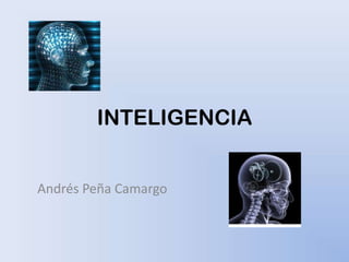 INTELIGENCIA Andrés Peña Camargo 