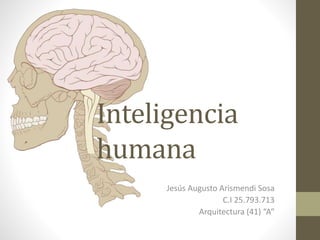 Inteligencia 
humana 
Jesús Augusto Arismendi Sosa 
C.I 25.793.713 
Arquitectura (41) “A” 
 