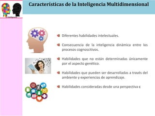 Características de la Inteligencia Multidimensional
Diferentes habilidades intelectuales.
Consecuencia de la inteligencia dinámica entre los
procesos cognoscitivos.
Habilidades que no están determinadas únicamente
por el aspecto genético.
Habilidades que pueden ser desarrolladas a través del
ambiente y experiencias de aprendizaje.
Habilidades consideradas desde una perspectiva c
 