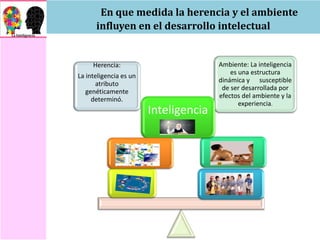 En que medida la herencia y el ambiente
influyen en el desarrollo intelectual
Herencia:
La inteligencia es un
atributo
genéticamente
determinó.
Ambiente: La inteligencia
es una estructura
dinámica y susceptible
de ser desarrollada por
efectos del ambiente y la
experiencia.
Inteligencia
 