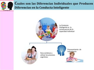Cuales son las Diferencias Individuales que Producen
Diferencias en la Conducta Inteligente
La Conducta
Inteligente es la
consecuencia de la
capacidad Individual
Para combinar y
utilizar los procesos
cognitivos
Procesamiento de
Información
 