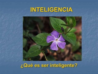 INTELIGENCIA
¿Qué es ser inteligente?
 