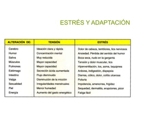ESTRÉS Y ADAPTACIÓN
 