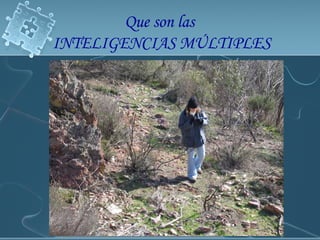 ALGUNAS APLICACIONES  CARACTERÍSTICAS  DE  LA  INTELIGENCIA  ECOLÓGICA INTERÉS POR OBJETOS NATURALES CLASIFICACIÓN DE ESPECIES NATURALES FENÓMENOS NATURALES EXPERIMENTOS BIOLÓGICOS COLECCIÓN DE ESPECIES RECICLAJE PENSAMIENTO ENCADENADO Que son las  INTELIGENCIAS MÚLTIPLES 