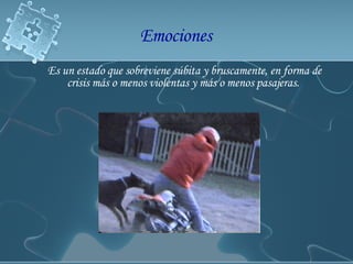 Es un estado que sobreviene súbita y bruscamente, en forma de crisis más o menos violentas y más o menos pasajeras.  Emociones  