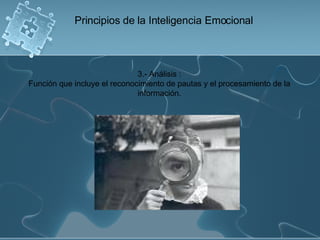 3.- Análisis : Función que incluye el reconocimiento de pautas y el procesamiento de la información. Principios de la Inteligencia Emocional 