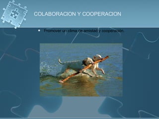 Promover un clima de amistad y cooperación. COLABORACION Y COOPERACION 